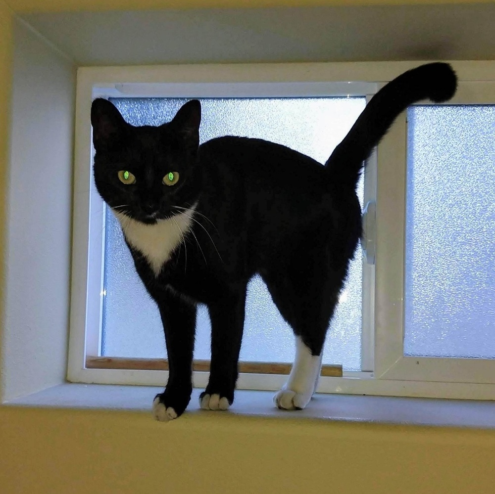 Meet your Poshmark Ambassador, Patrick